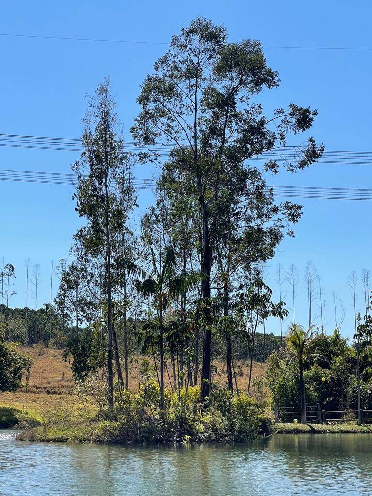 Fazenda à venda com 4 quartos, 14500000000m² - Foto 5