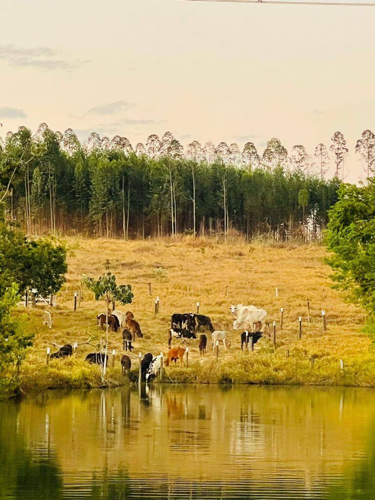 Fazenda à venda com 4 quartos, 14500000000m² - Foto 6