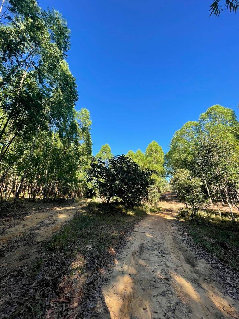 Fazenda à venda com 4 quartos, 14500000000m² - Foto 13