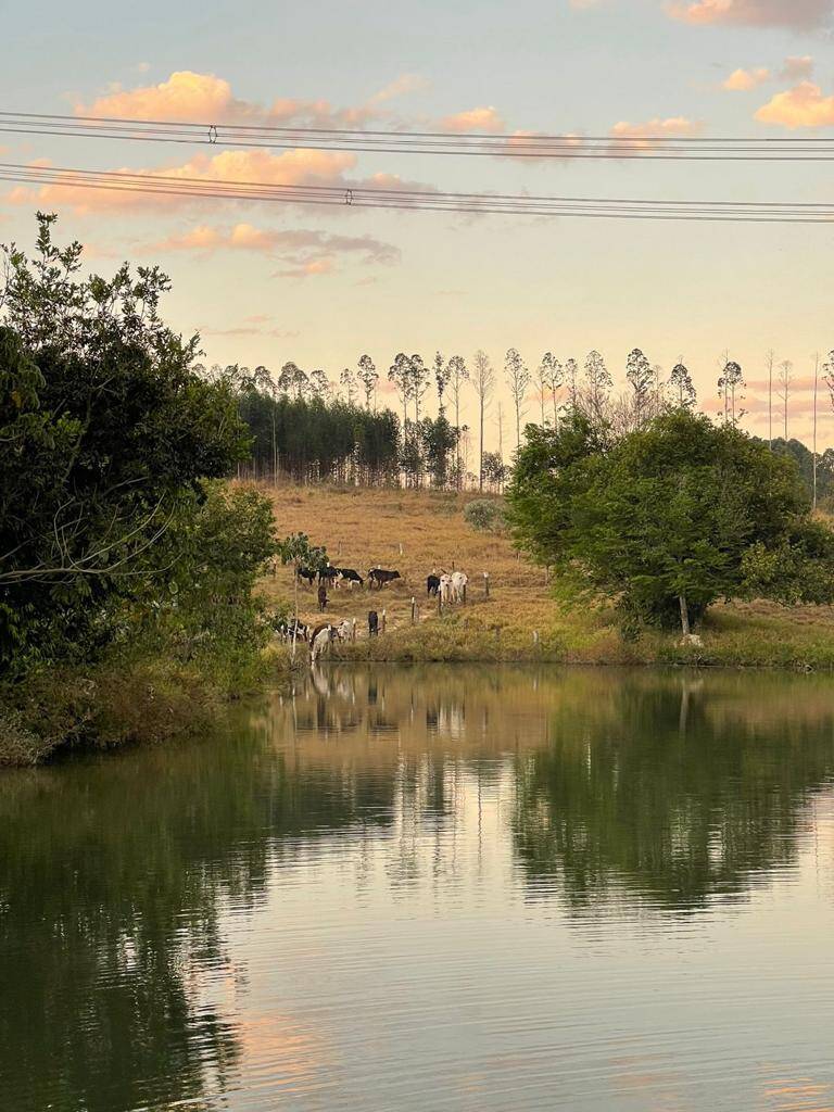 Fazenda à venda com 4 quartos, 14500000000m² - Foto 11