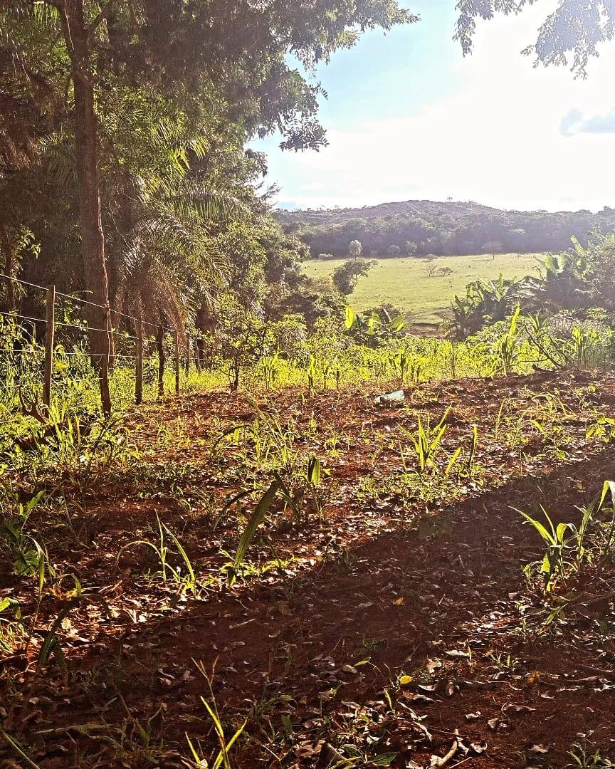 Fazenda à venda, 29000m² - Foto 2