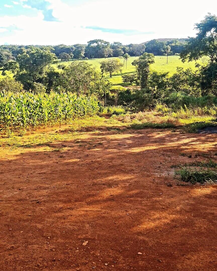 Fazenda à venda, 29000m² - Foto 3