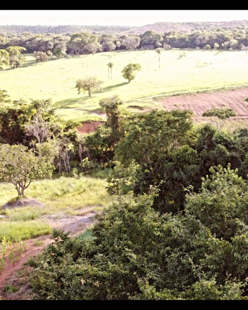 Fazenda à venda, 29000m² - Foto 7