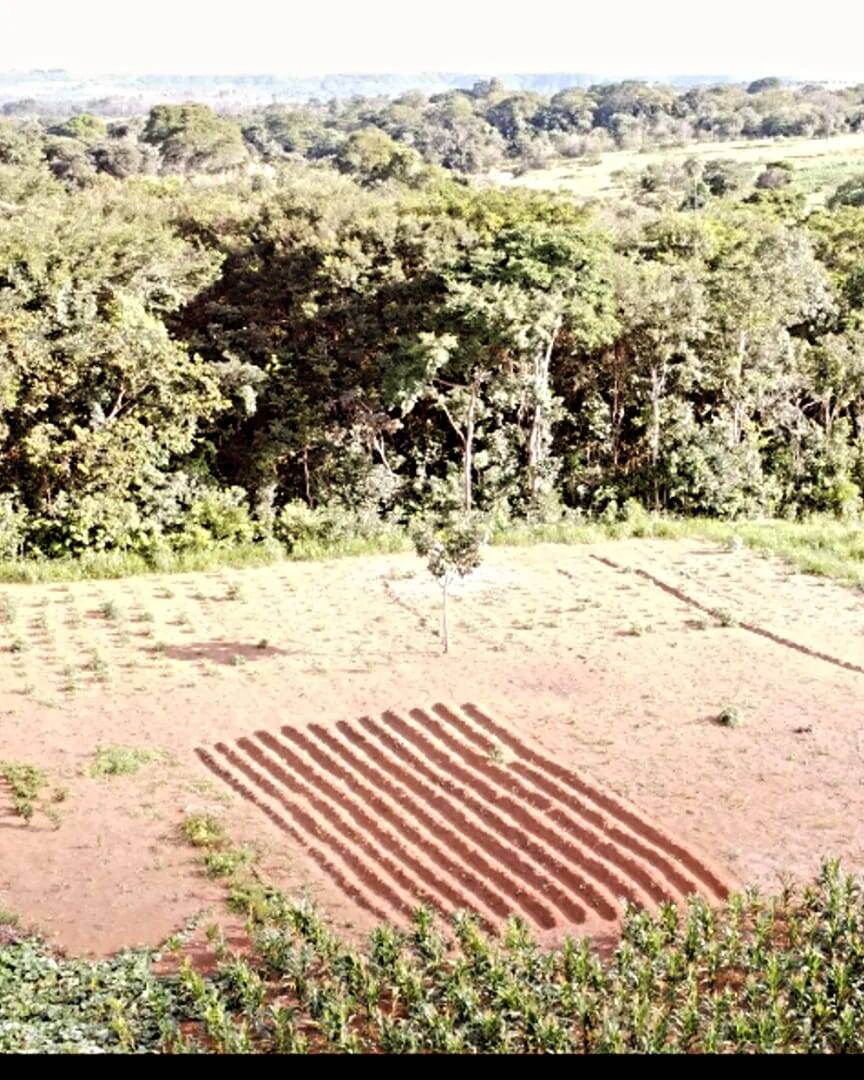 Fazenda à venda, 29000m² - Foto 8