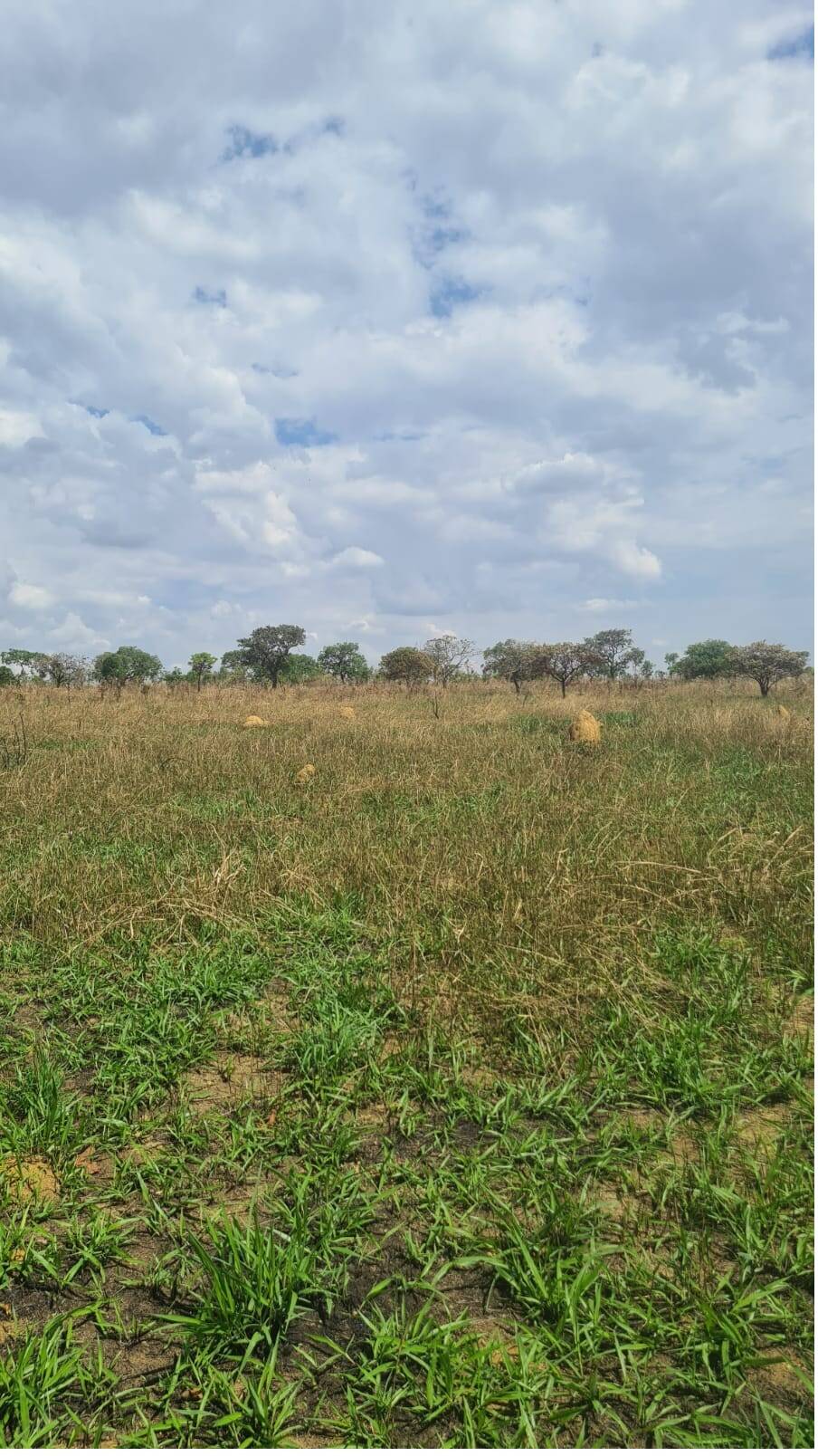 Fazenda à venda, 4000000000m² - Foto 4