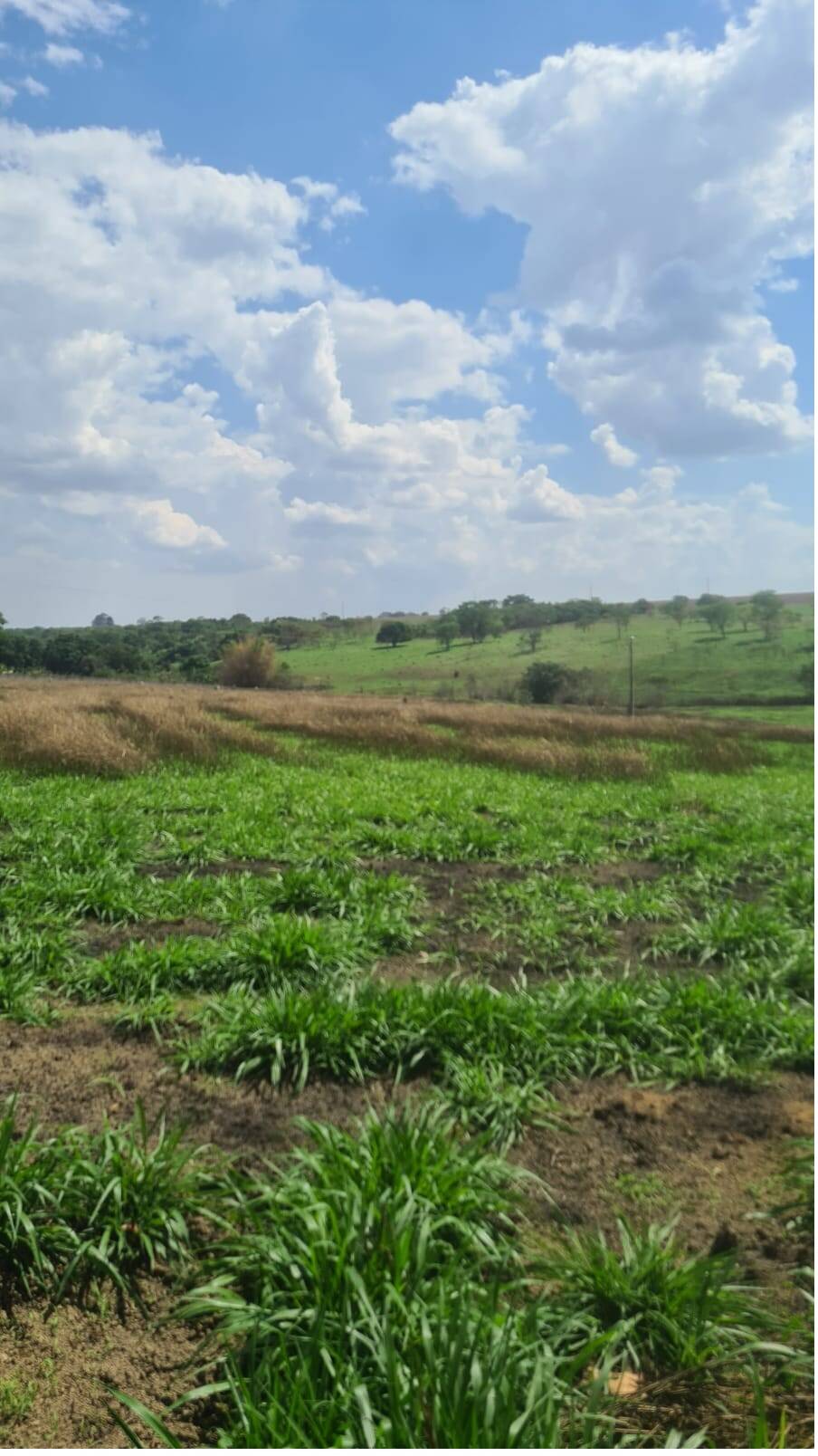 Fazenda à venda, 4000000000m² - Foto 7