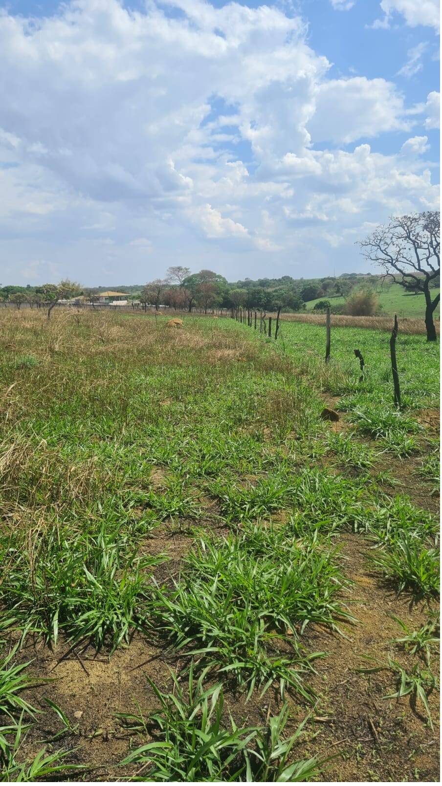 Fazenda à venda, 4000000000m² - Foto 5