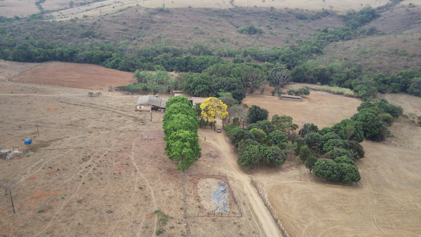 Fazenda-Sítio-Chácara, 1839200 hectares - Foto 3
