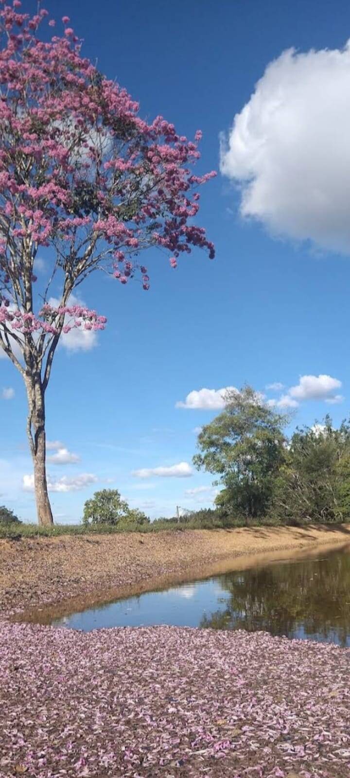 Fazenda à venda, 21900000000m² - Foto 2