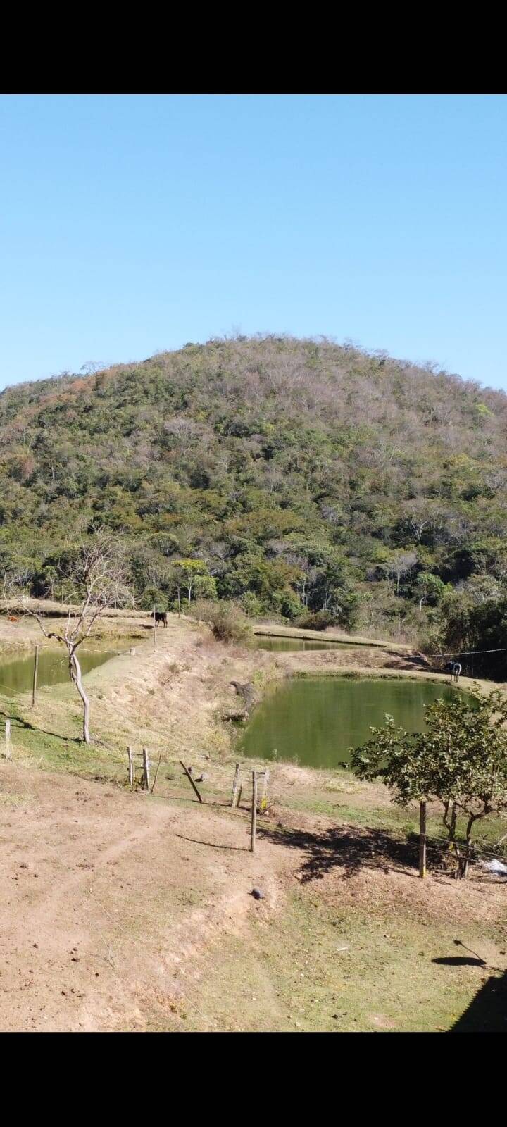 Fazenda à venda, 21900000000m² - Foto 3