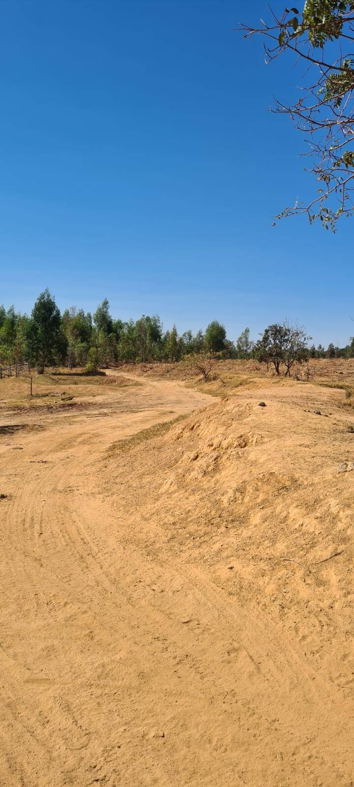 Fazenda à venda, 21900000000m² - Foto 7