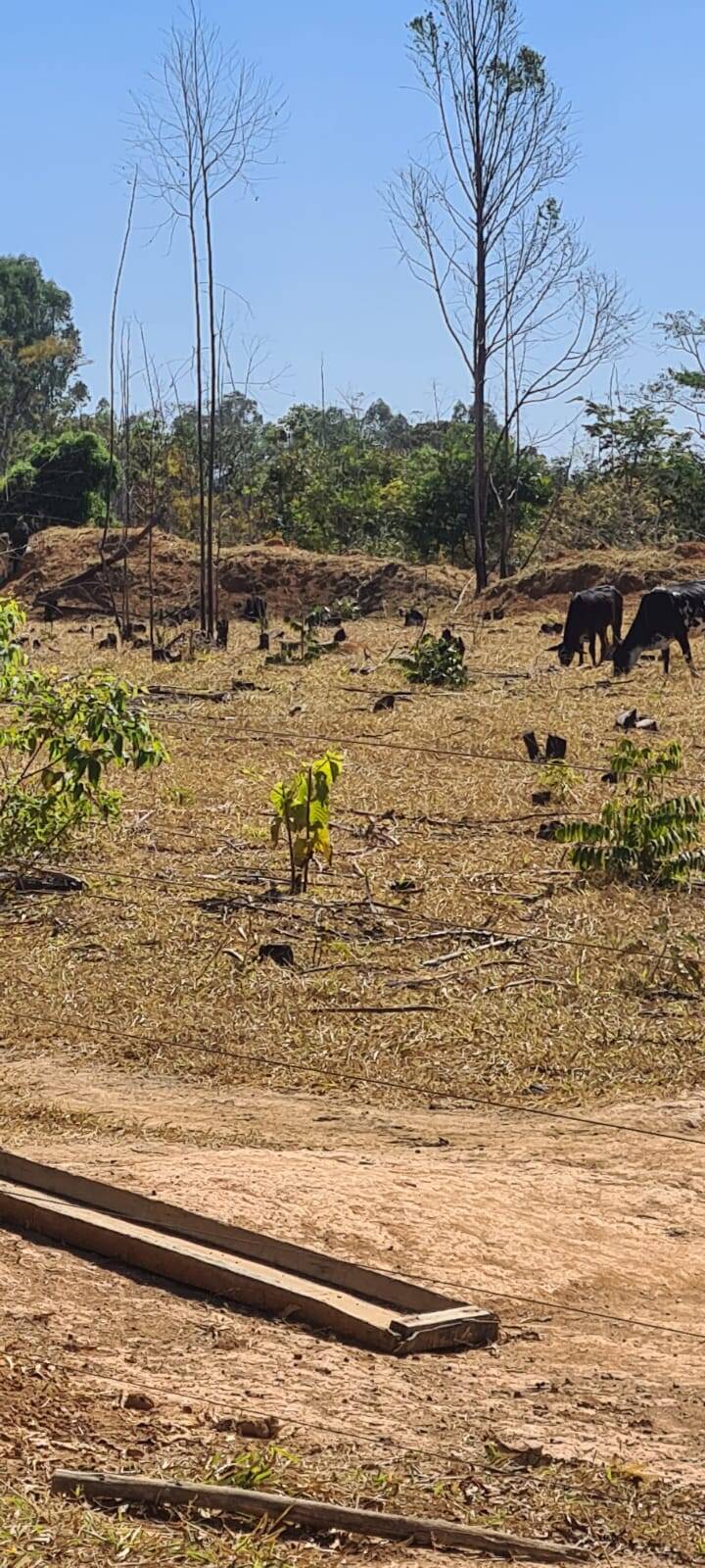 Fazenda à venda, 21900000000m² - Foto 6