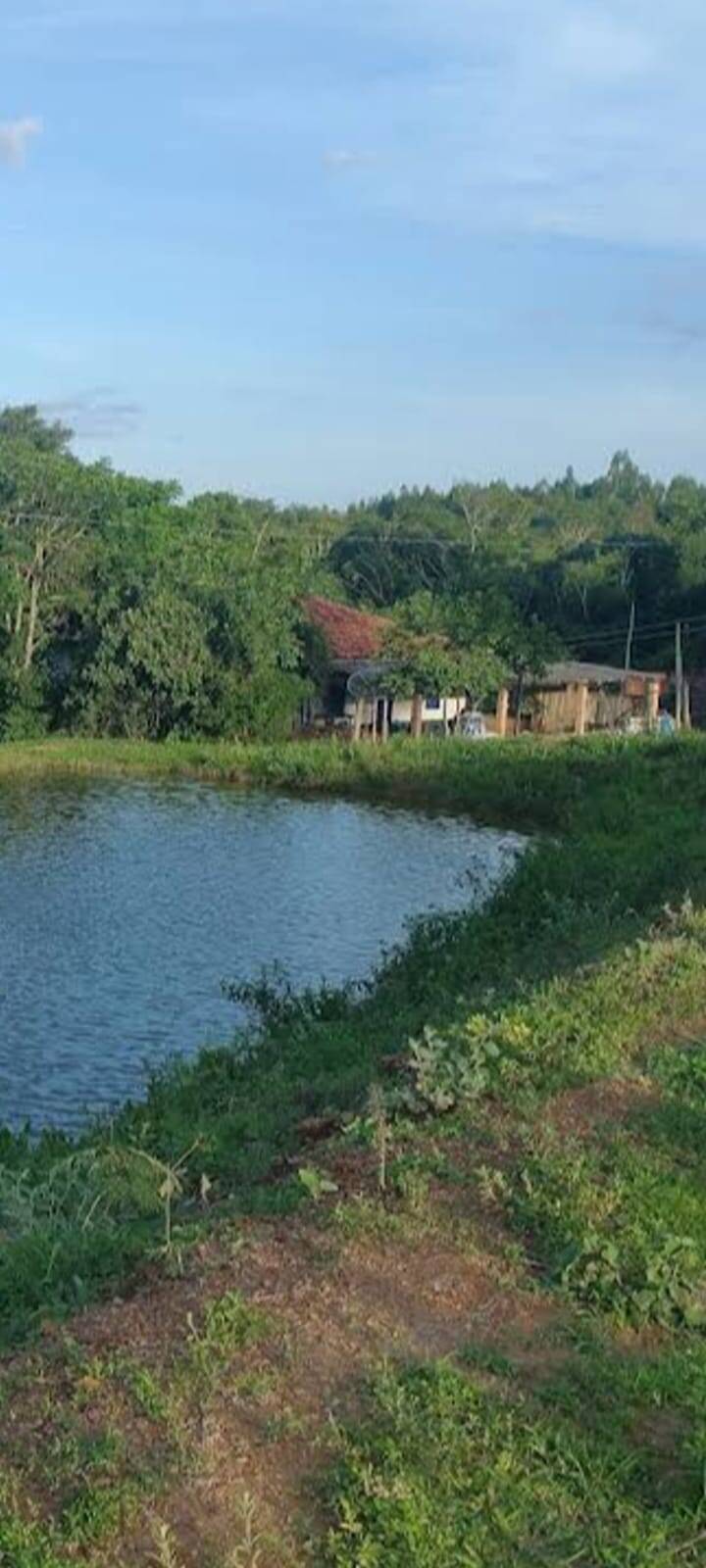 Fazenda à venda, 21900000000m² - Foto 5