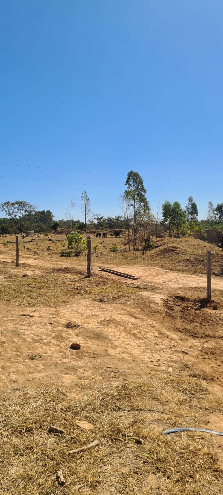 Fazenda à venda, 21900000000m² - Foto 4