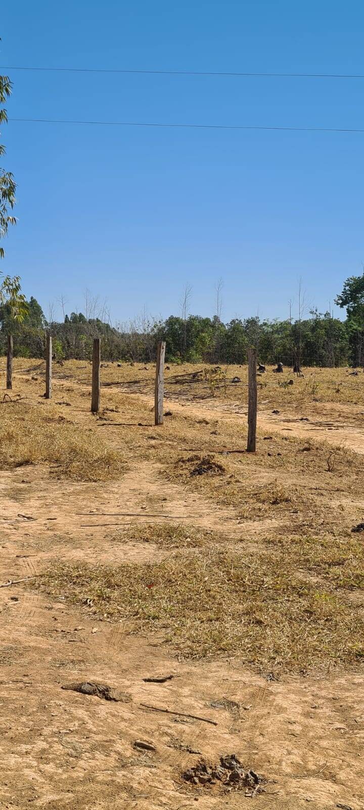 Fazenda à venda, 21900000000m² - Foto 8