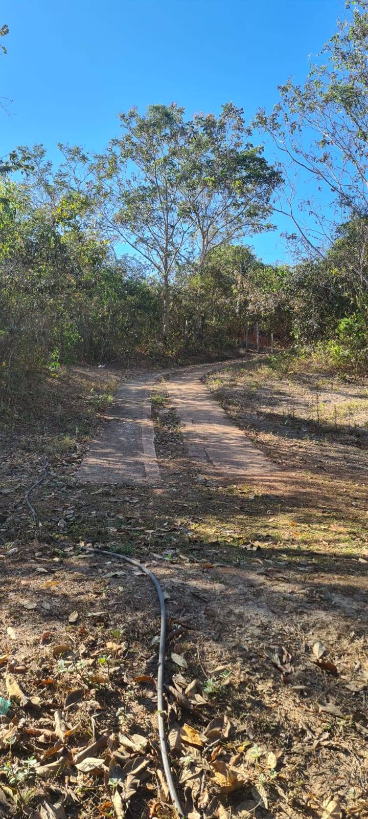 Fazenda à venda, 21900000000m² - Foto 9