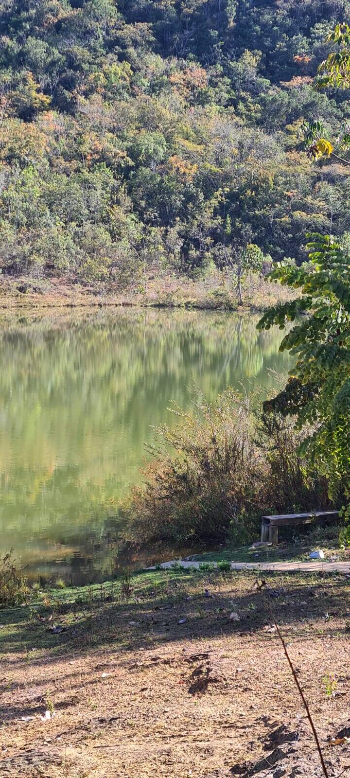 Fazenda à venda, 21900000000m² - Foto 14