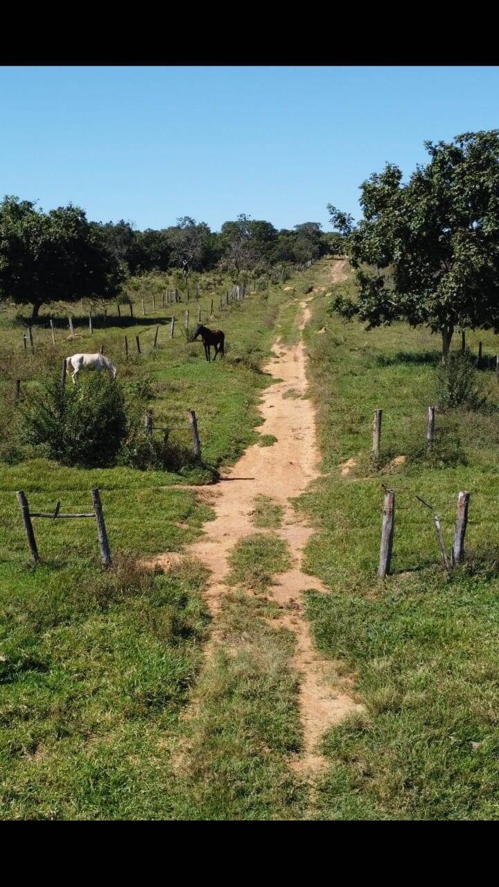 Fazenda à venda, 23300000000m² - Foto 13