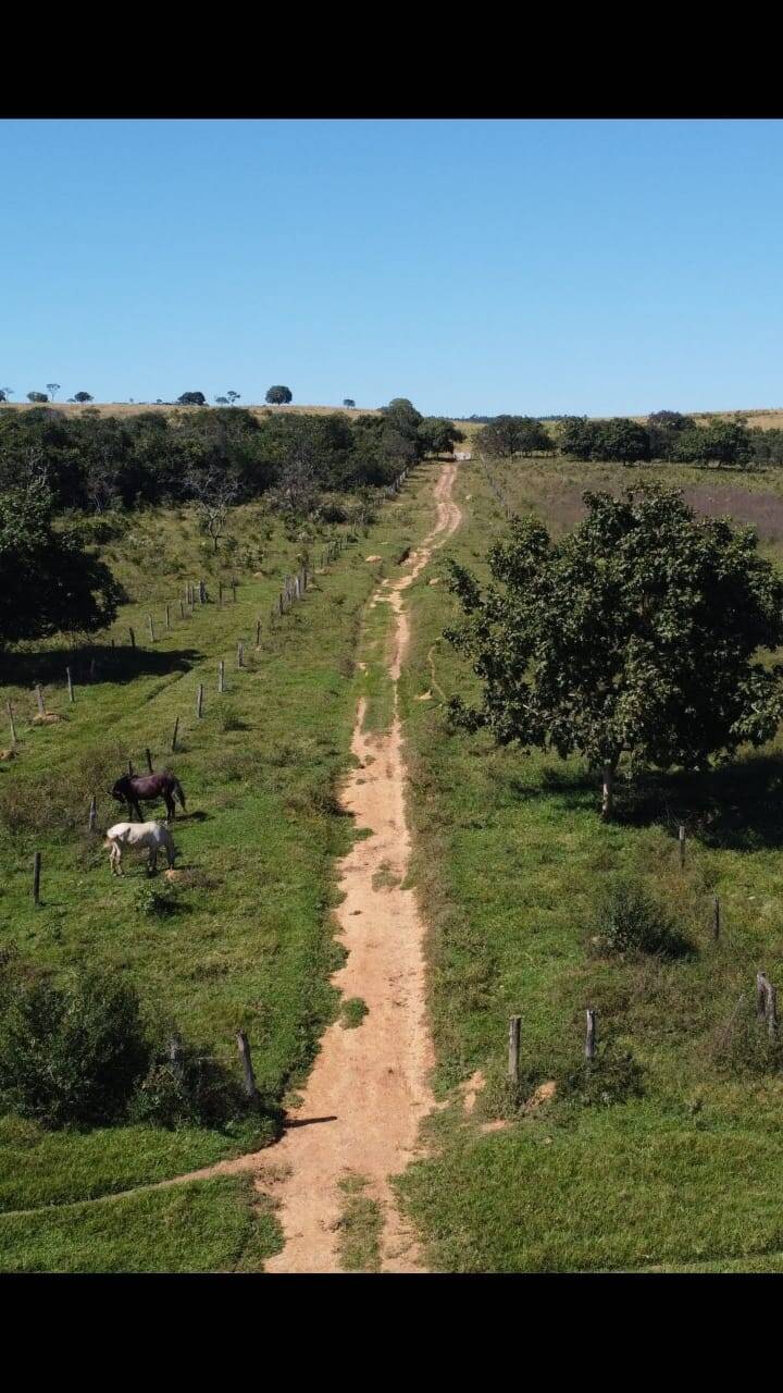 Fazenda à venda, 23300000000m² - Foto 15