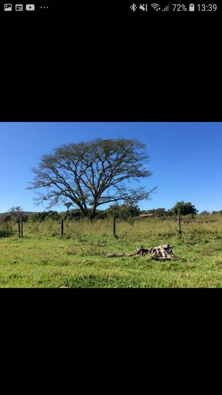 Fazenda à venda, 23300000000m² - Foto 21