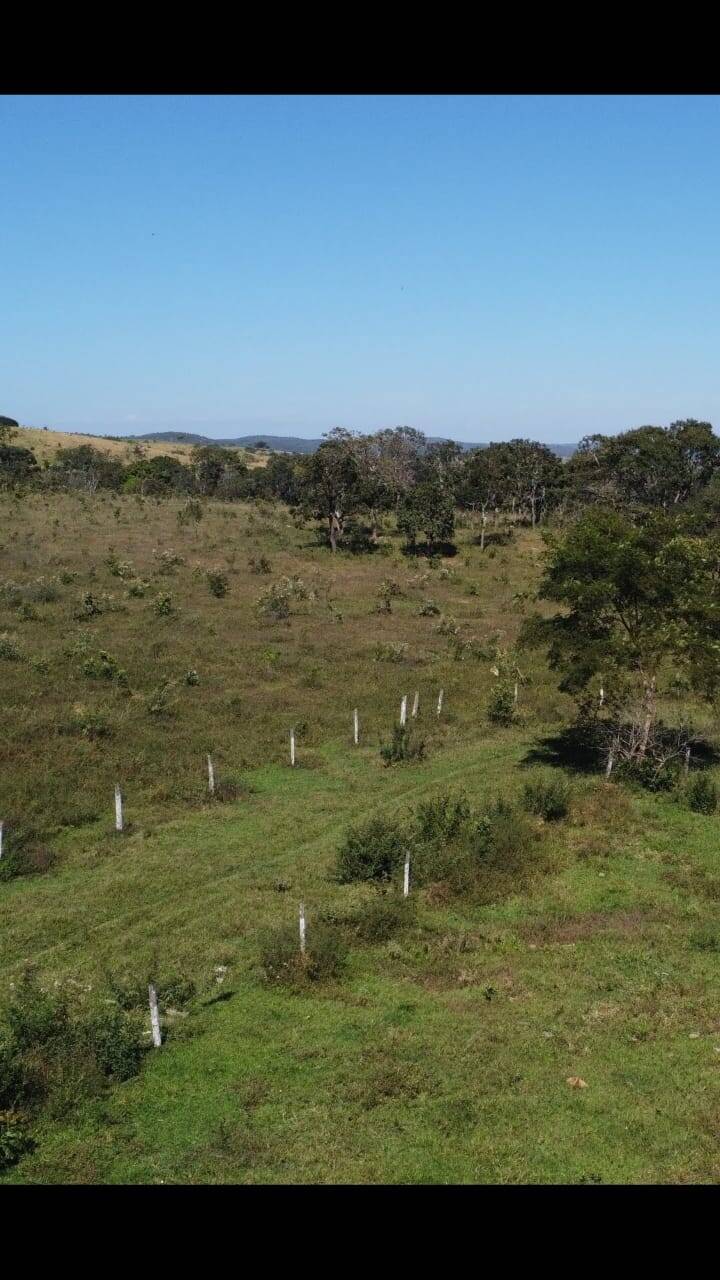 Fazenda à venda, 23300000000m² - Foto 18