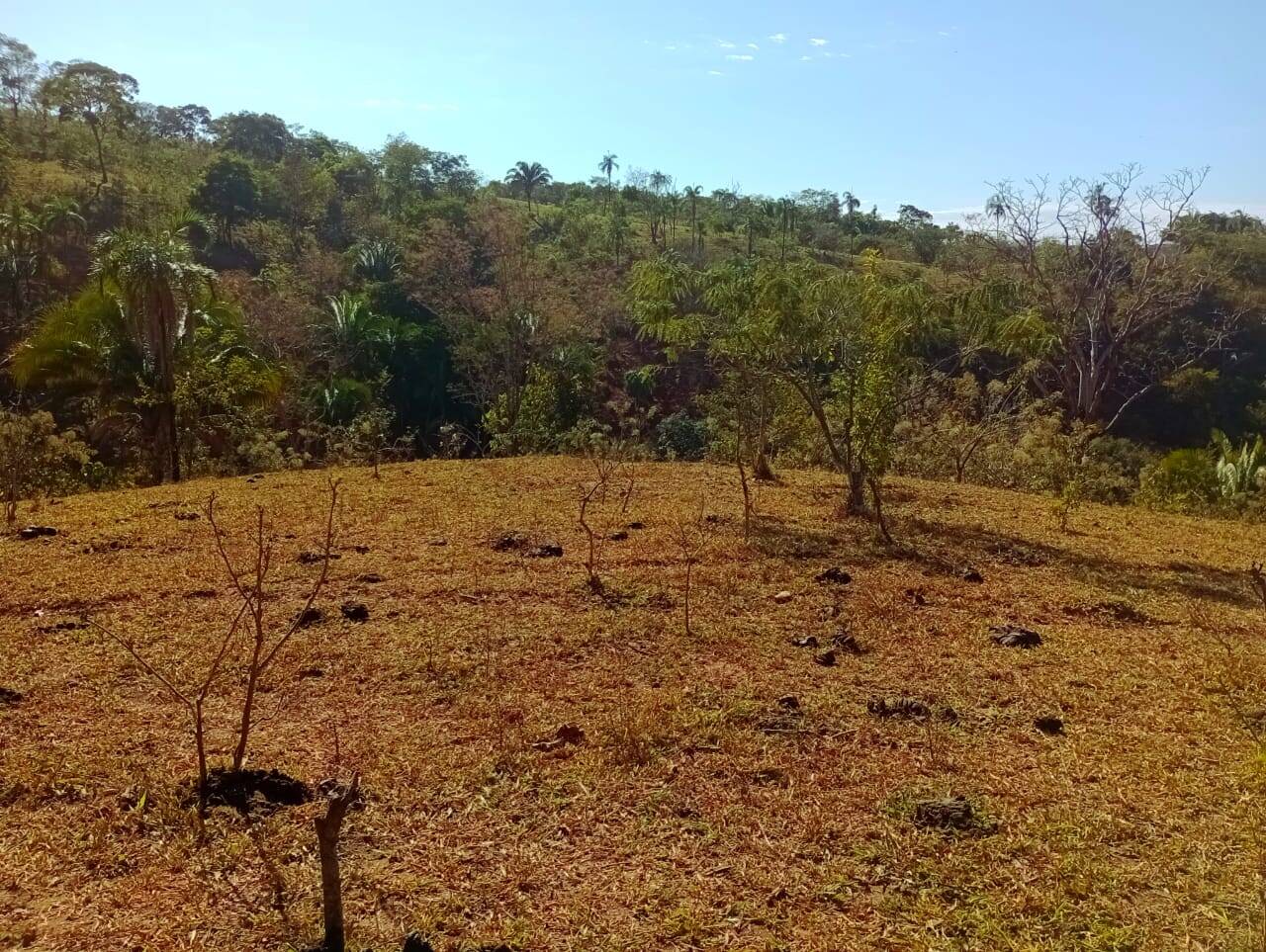 Fazenda à venda, 12584000m² - Foto 10