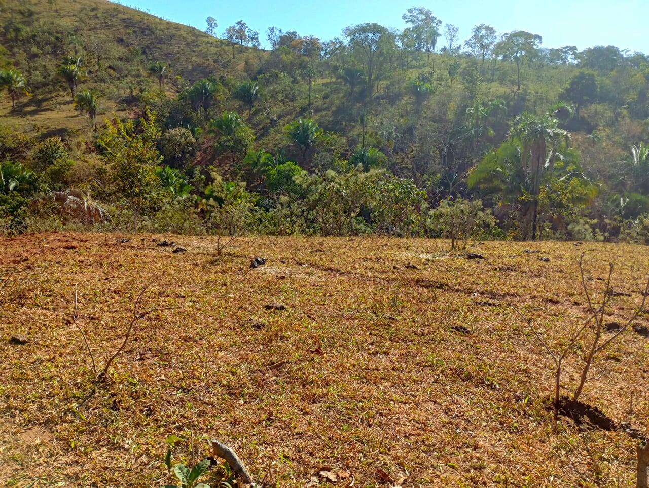 Fazenda à venda, 12584000m² - Foto 8