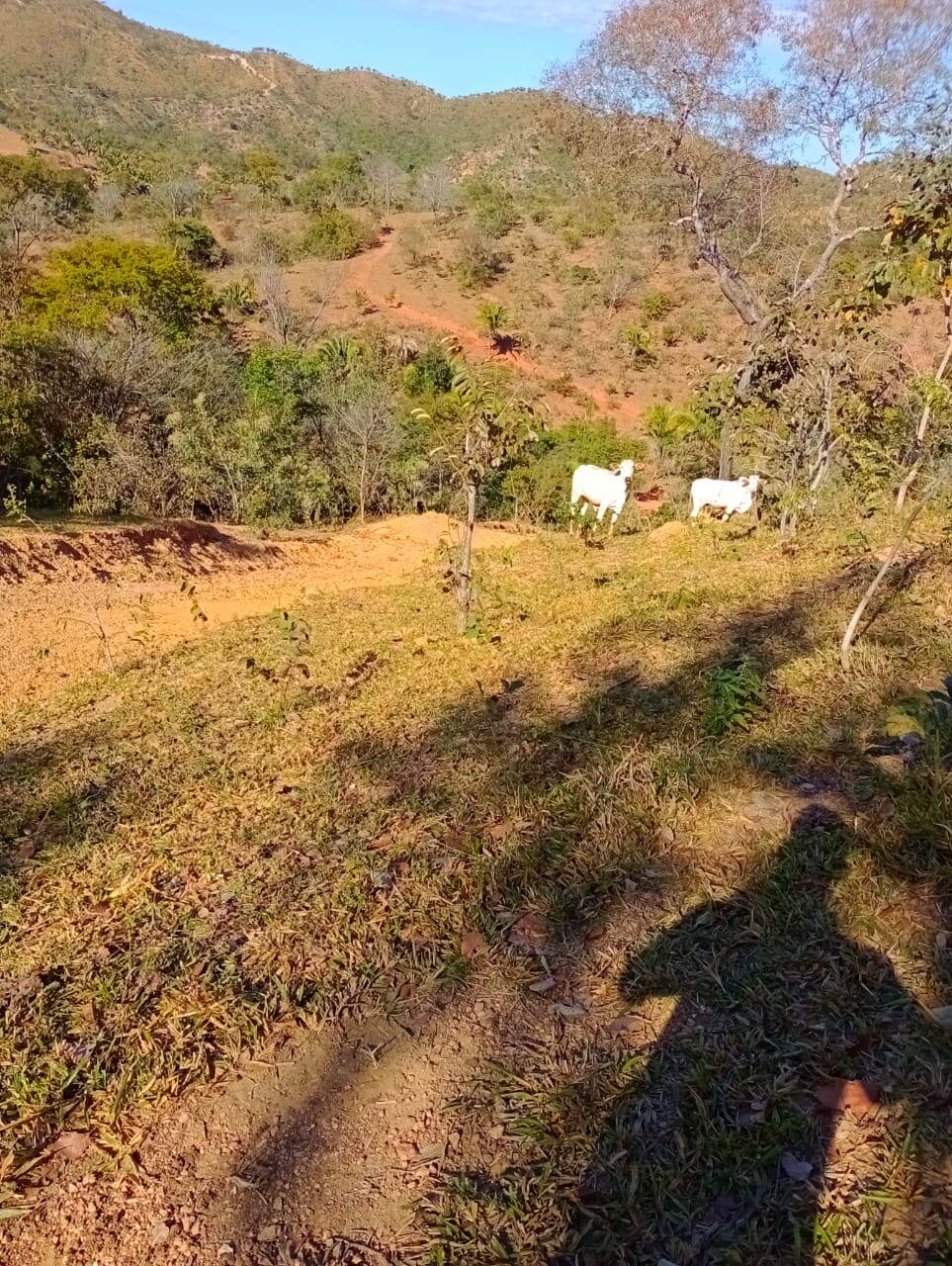 Fazenda à venda, 12584000m² - Foto 14