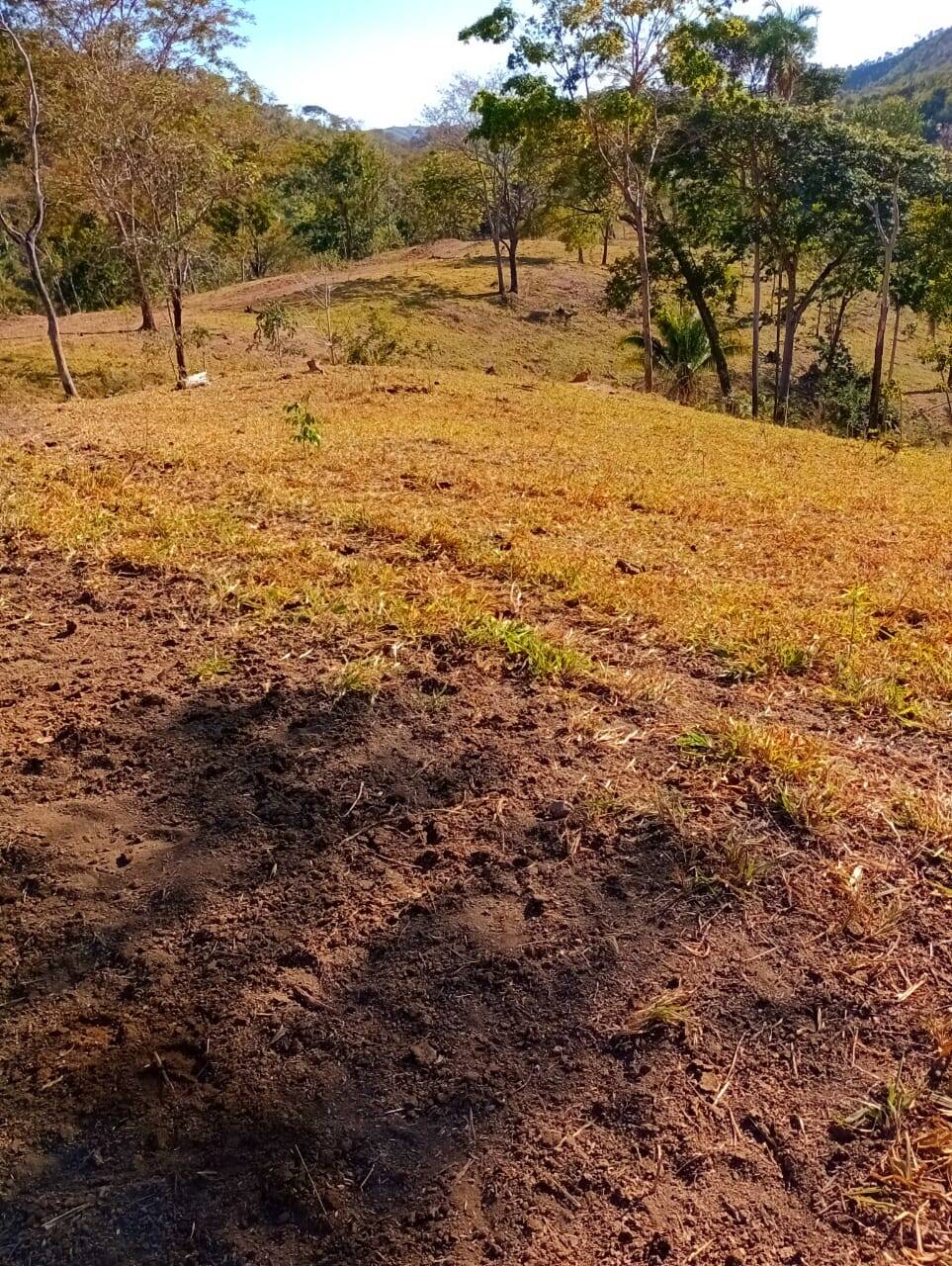 Fazenda à venda, 12584000m² - Foto 15