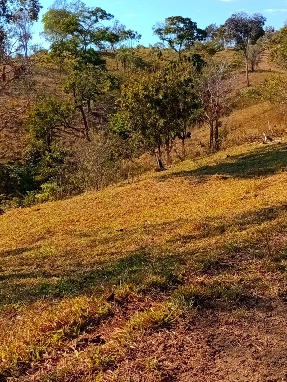 Fazenda à venda, 12584000m² - Foto 16