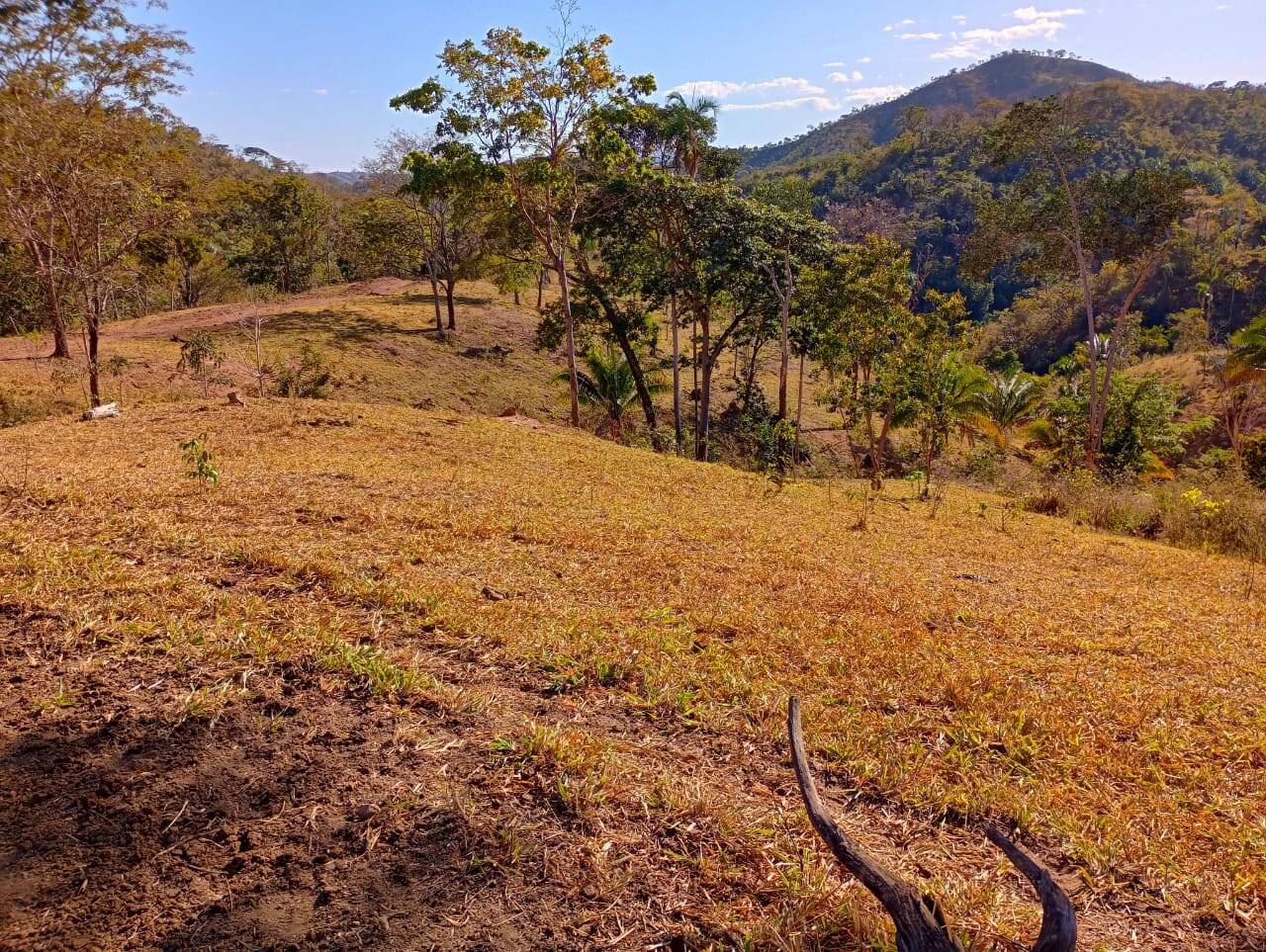 Fazenda à venda, 12584000m² - Foto 20