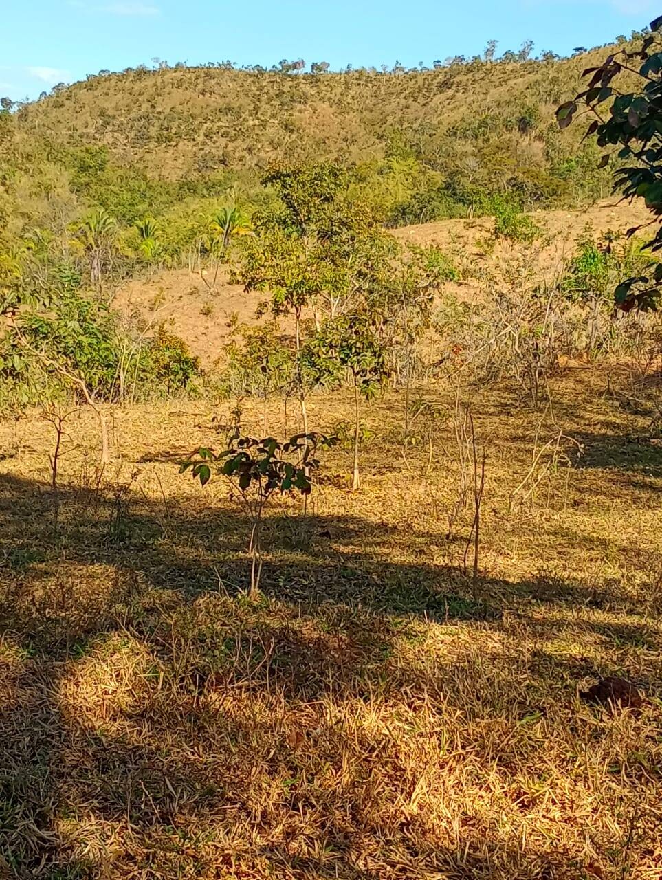 Fazenda à venda, 12584000m² - Foto 17