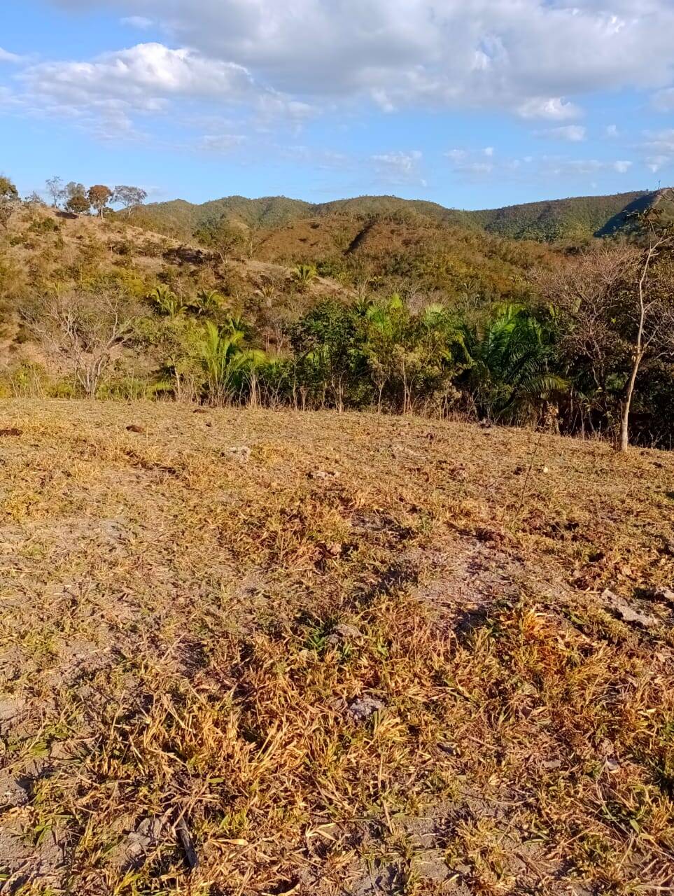 Fazenda à venda, 12584000m² - Foto 23