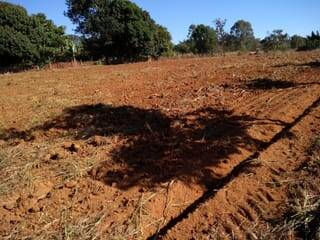 Terreno à venda, 5000m² - Foto 3