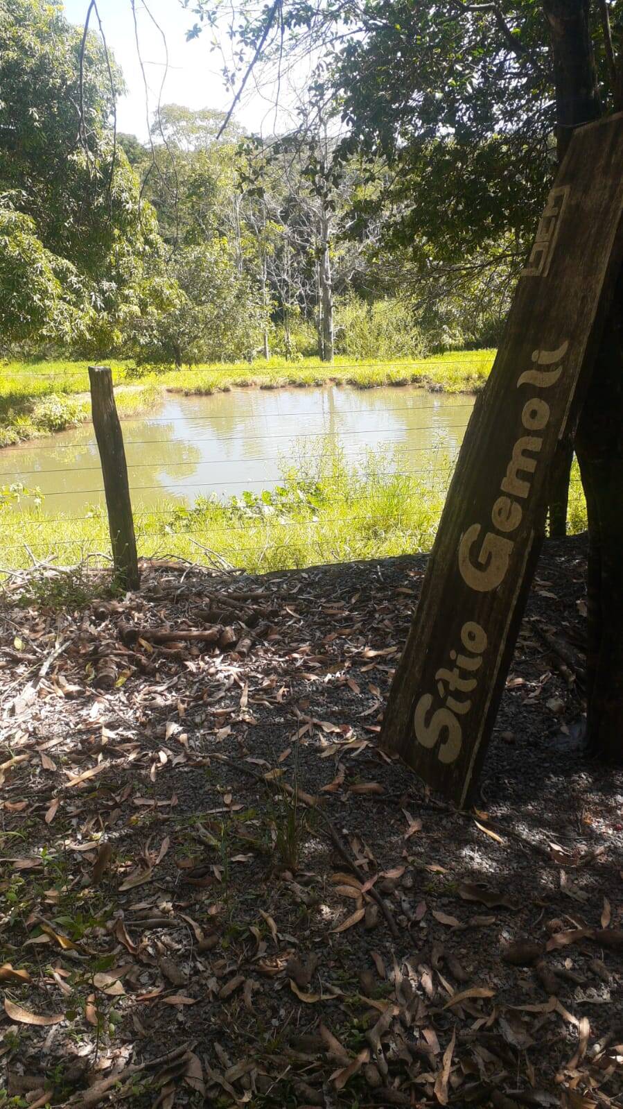 Fazenda à venda com 3 quartos, 5m² - Foto 5