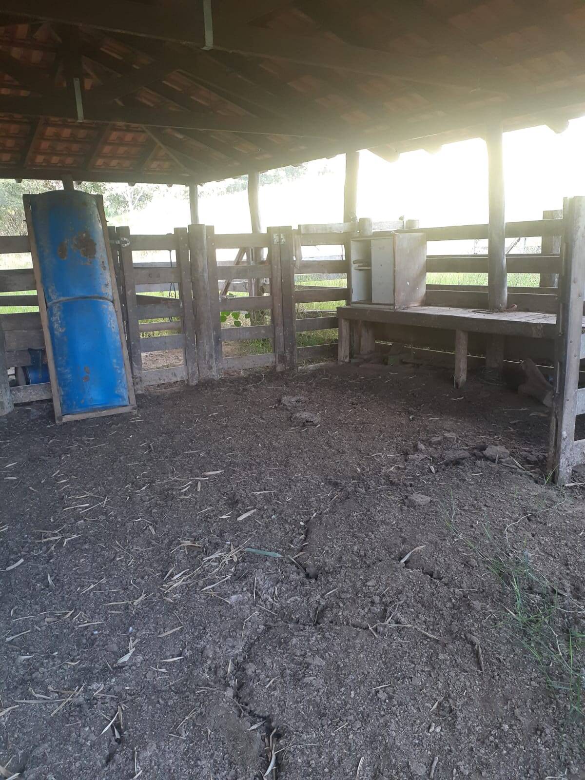 Fazenda à venda com 3 quartos, 5m² - Foto 12