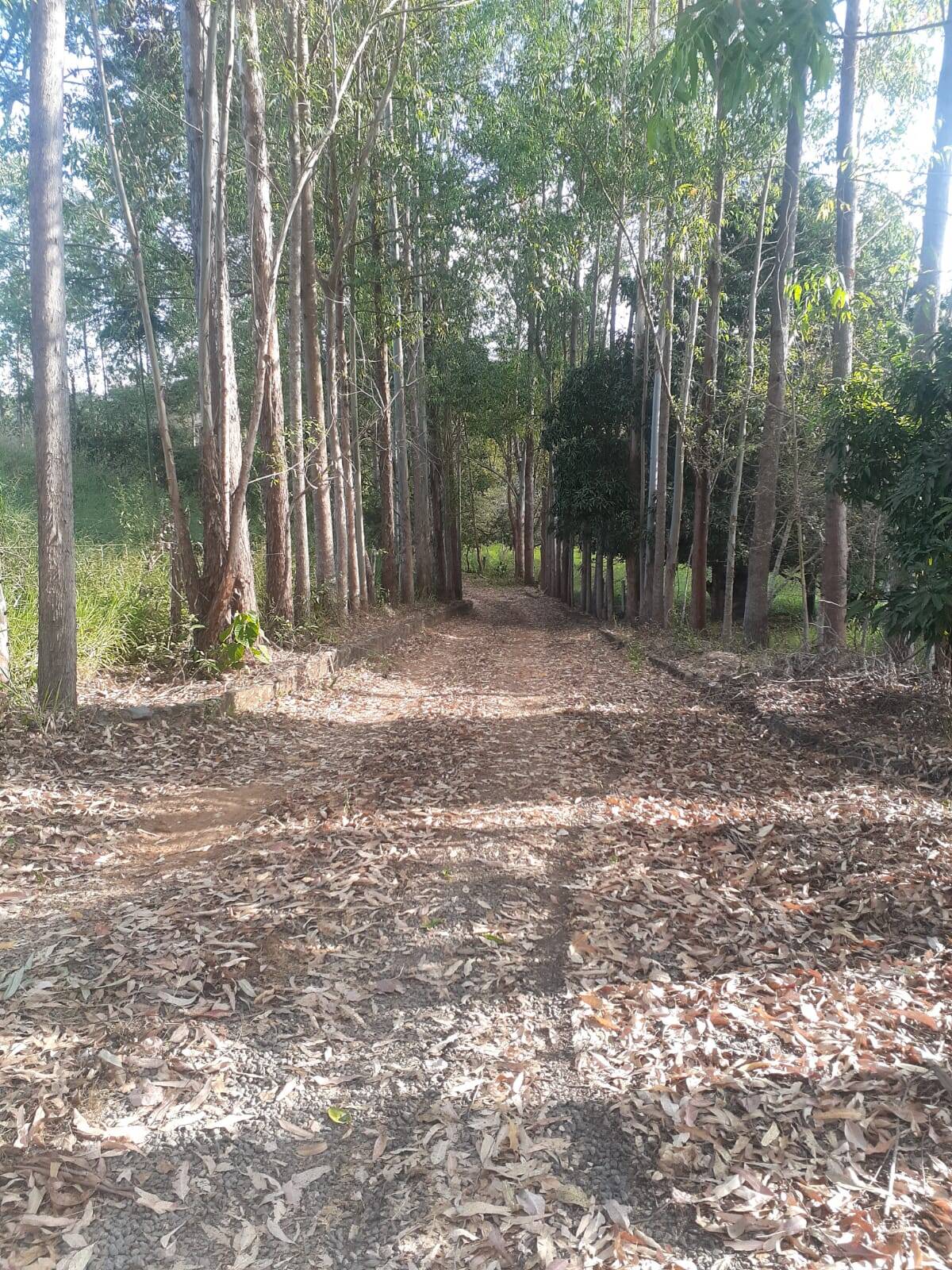 Fazenda à venda com 3 quartos, 5m² - Foto 1