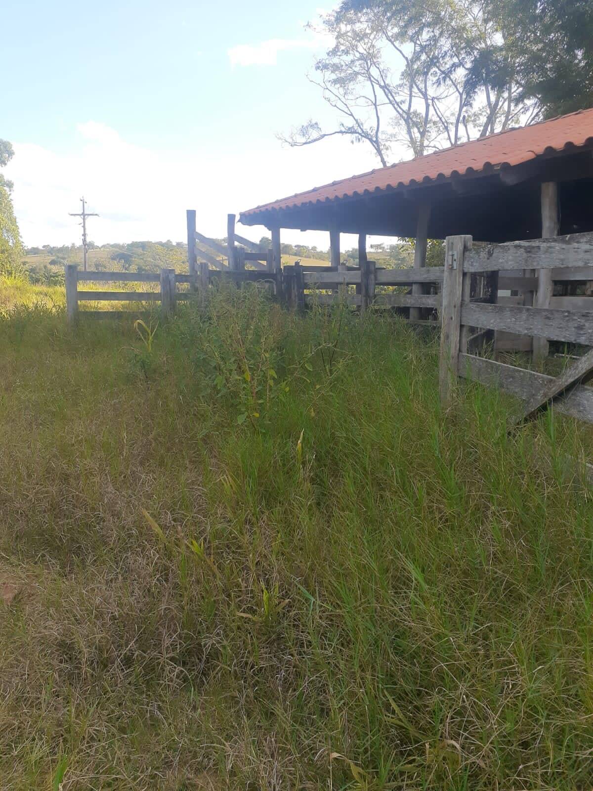 Fazenda à venda com 3 quartos, 5m² - Foto 24