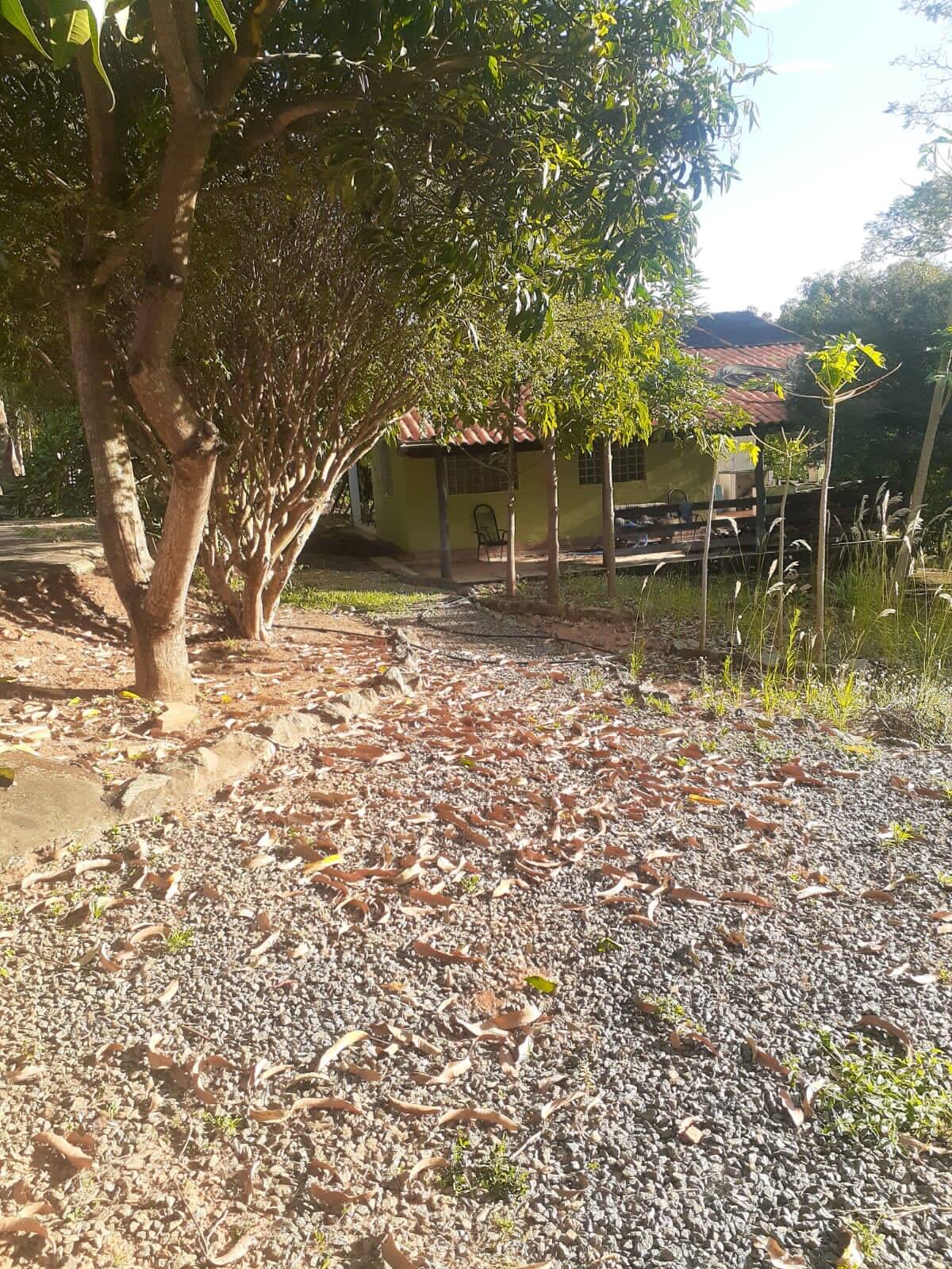 Fazenda à venda com 3 quartos, 5m² - Foto 6