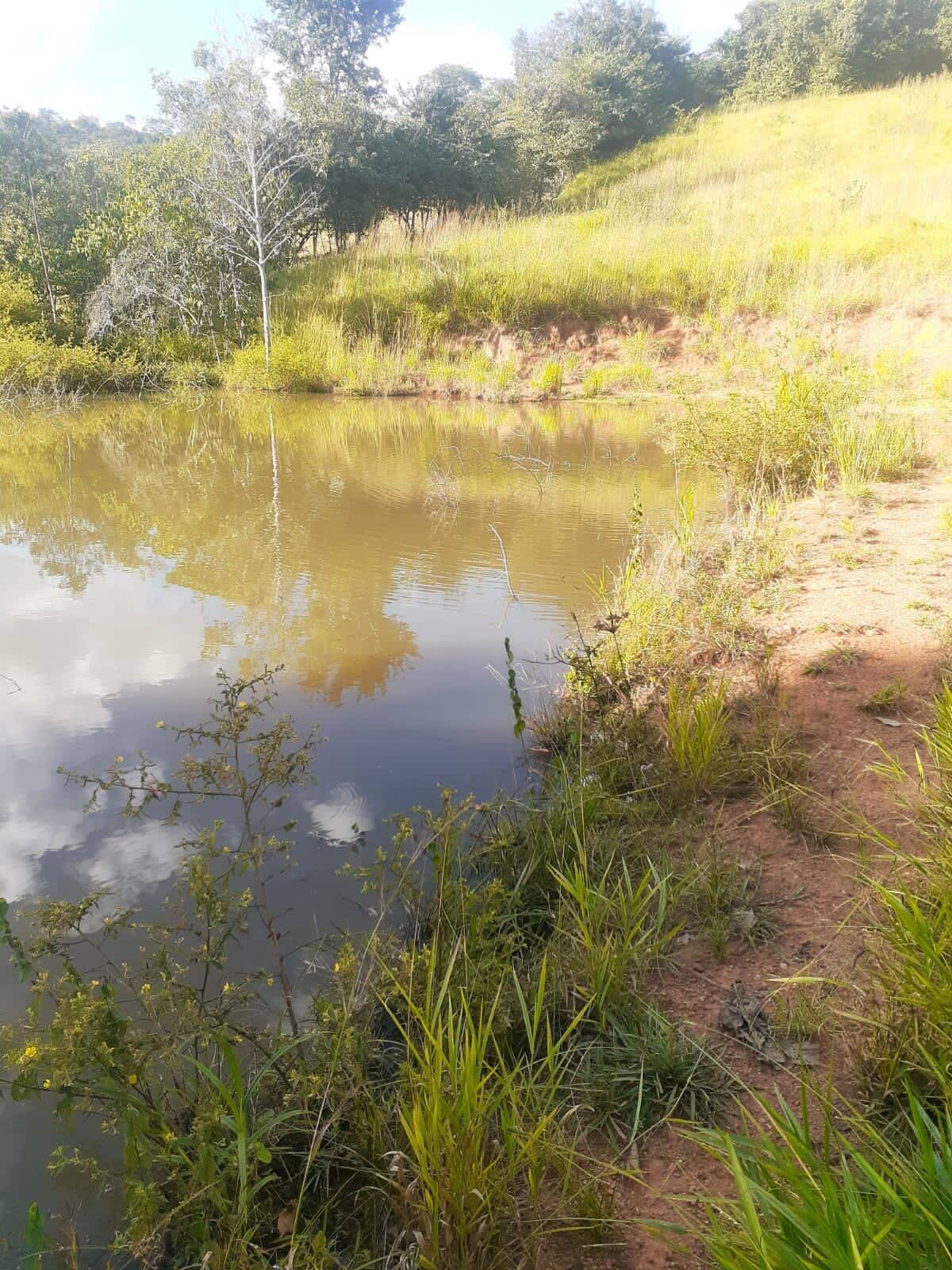 Fazenda à venda com 3 quartos, 5m² - Foto 31