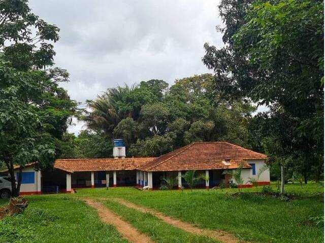 Venda em Área Rural de Luziânia - Luziânia