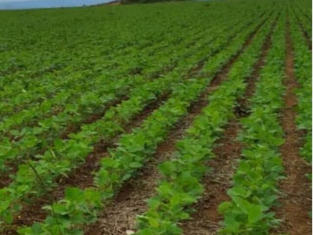 #FAZ.004 - Fazenda para Venda em Niquelândia - GO