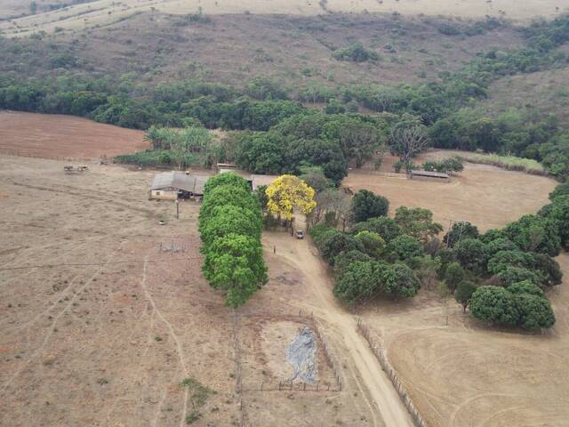 #FAZ.006 - Fazenda para Venda em Cocalzinho de Goiás - GO