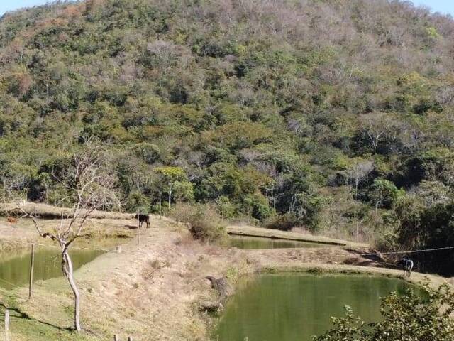 #FAZ.007 - Fazenda para Venda em Luziânia - GO