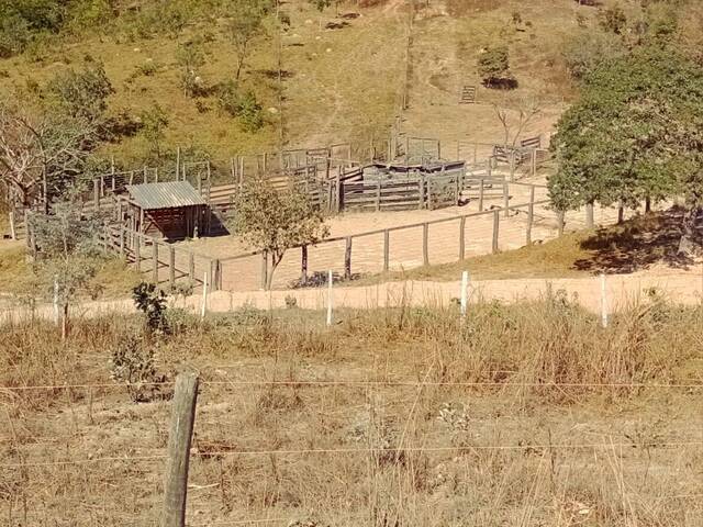 #FAZ.009 - Fazenda para Venda em Padre Bernardo - GO