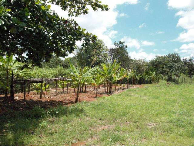 #CAS.002 - Casa para Venda em Padre Bernardo - GO